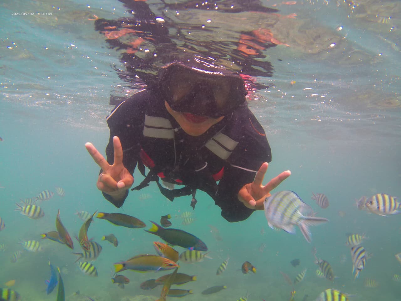 Wisata Snorkeling Pulau Pari